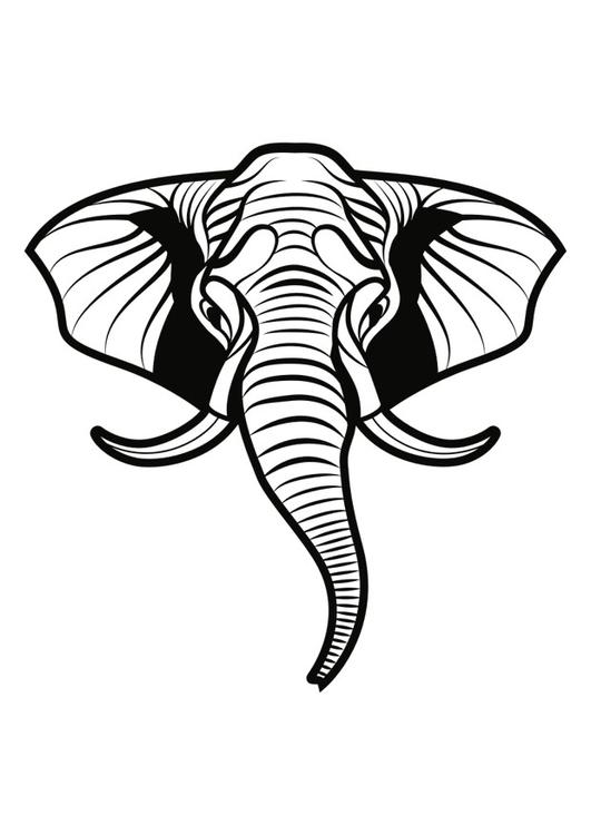 éléphant