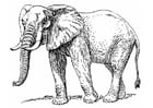 éléphant