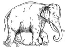 Coloriages éléphant