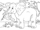 Coloriage Ã©lÃ©phant