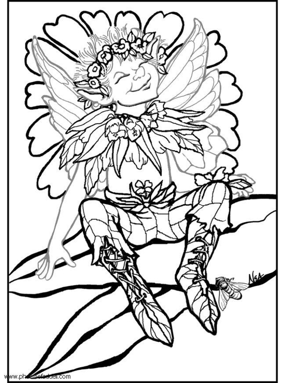 Coloriage elfe d'argent