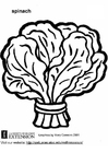 Coloriage Ã©pinard