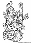 coloriage fée entre les roses