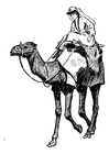 Coloriages femme sur chameau
