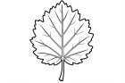 feuille