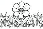fleur dans une prairie