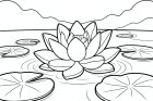fleur de lotus