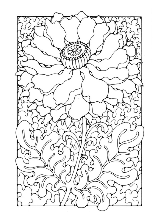 Coloriage fleur  Coloriages Gratuits à Imprimer  Dessin 27763