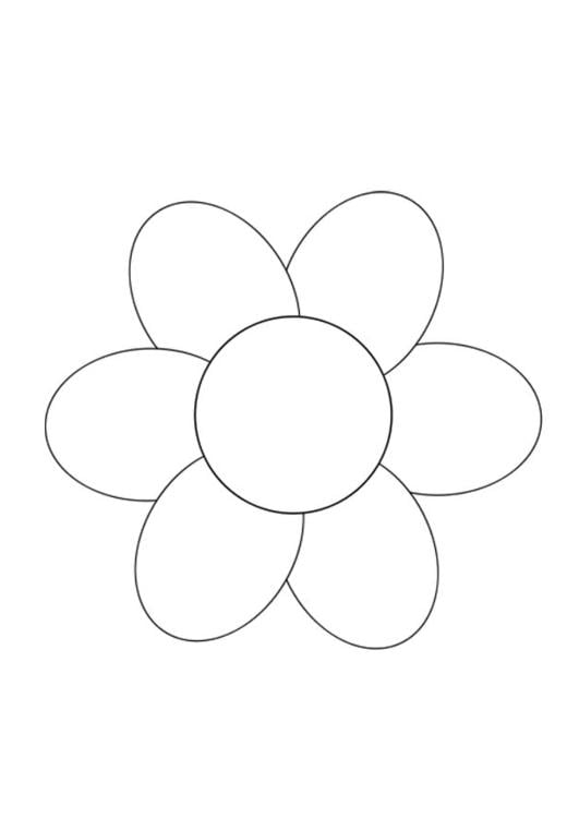 fleur