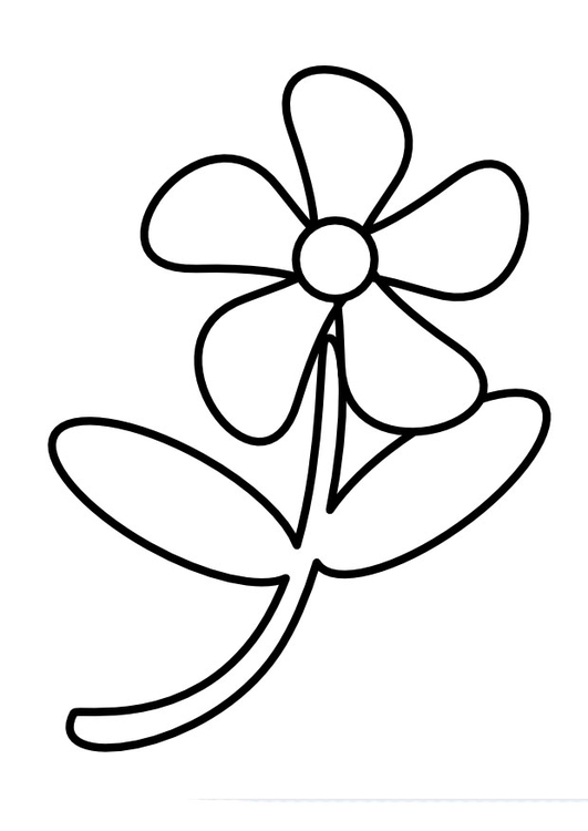 Coloriage fleurs