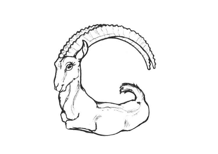Coloriage g-goat