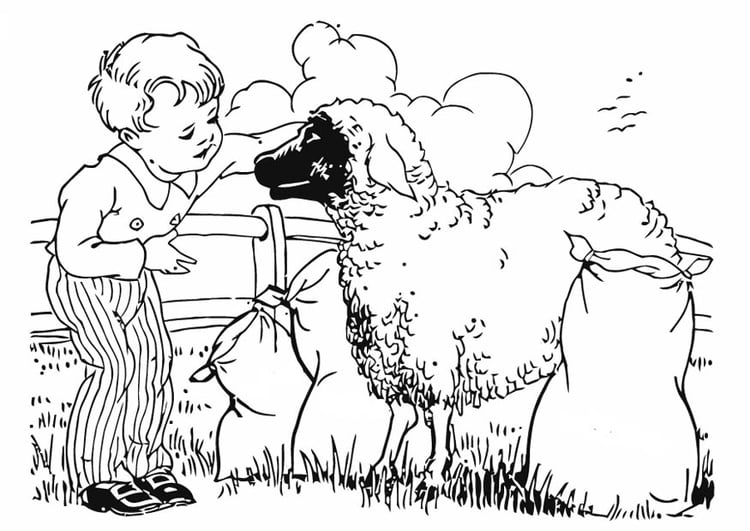 Coloriage garÃ§on avec mouton