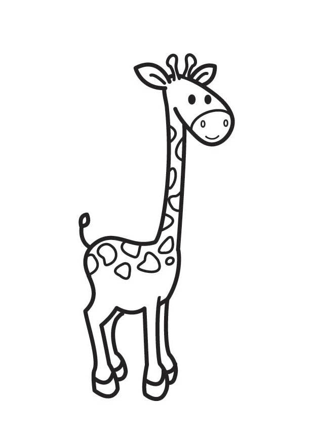 Coloriage Girafe Coloriages Gratuits à Imprimer Dessin 18075