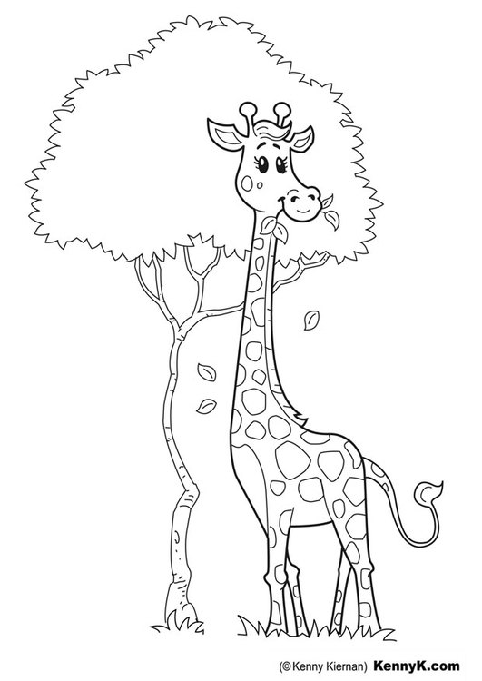 Coloriage girafe