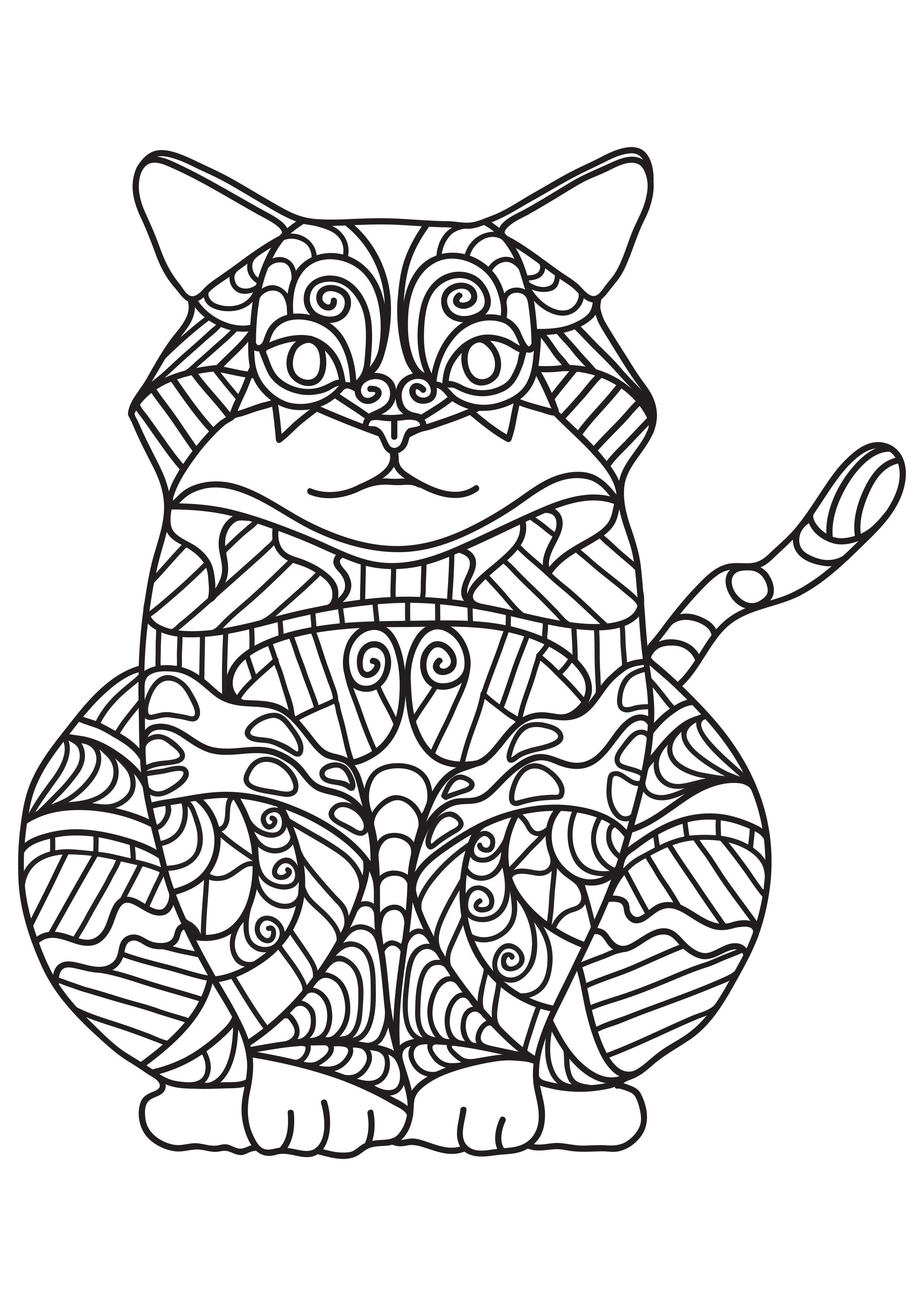 Coloriage gros chat