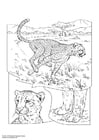 Coloriages guépard