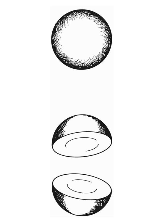 hÃ©misphÃ¨re-demi-circulaire
