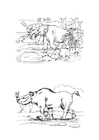 Coloriages herbivores