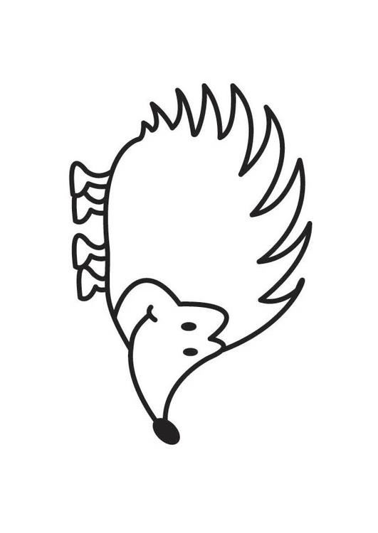 HÃ©risson