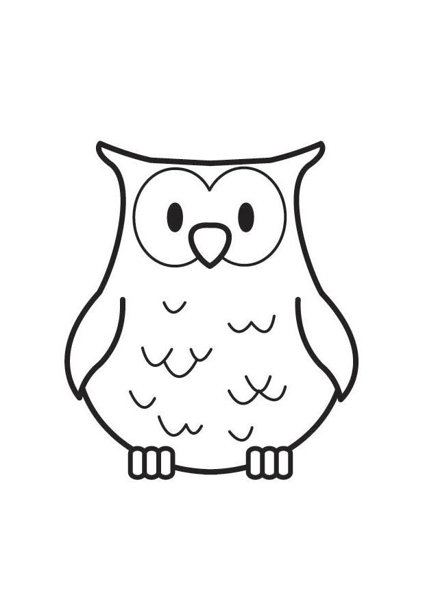 Coloriage Hibou  Coloriages Gratuits à Imprimer  Dessin 17634