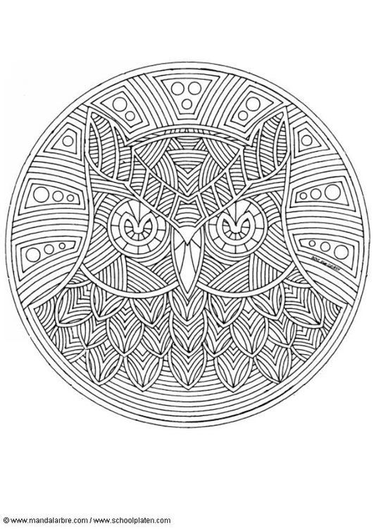 Coloriage hibou