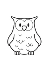 coloriage Hibou