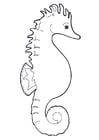 Coloriage hippocampe