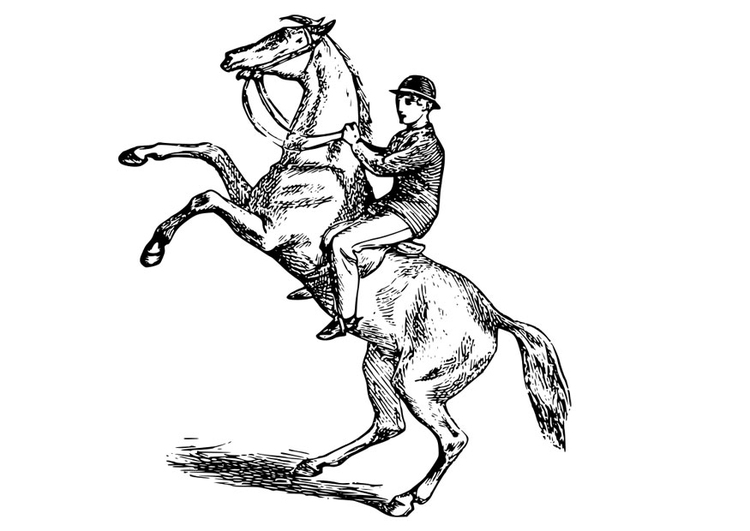 Coloriage homme sur le cheval