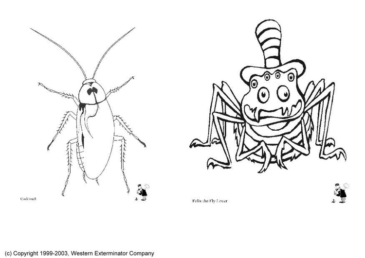 Coloriage insectes