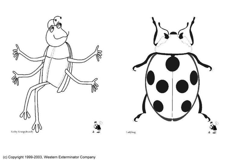 Coloriage insectes