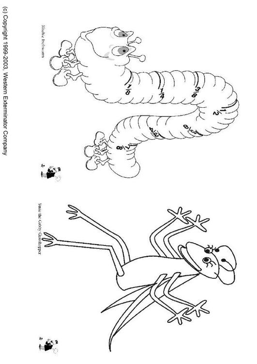 insectes