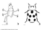 Coloriage insectes