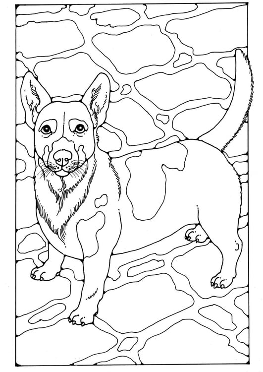 Coloriage Jack Russel  Coloriages Gratuits à Imprimer  Dessin 28213