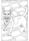 Coloriage portrait de chien  Coloriages Gratuits à Imprimer