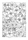 Coloriage jardin de fleurs de capucine