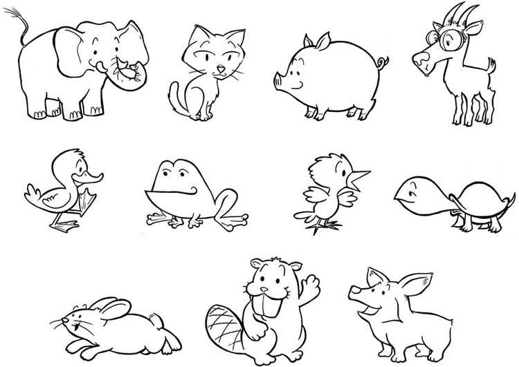 Coloriage jeunes animaux