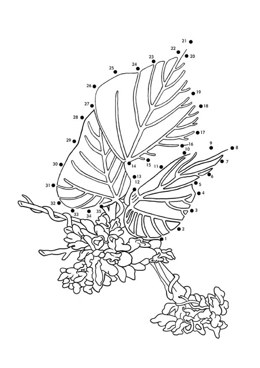 Coloriage kudzu