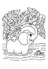 Coloriage l'Ã©lÃ©phant