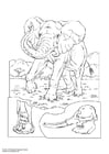 Coloriages l'éléphant