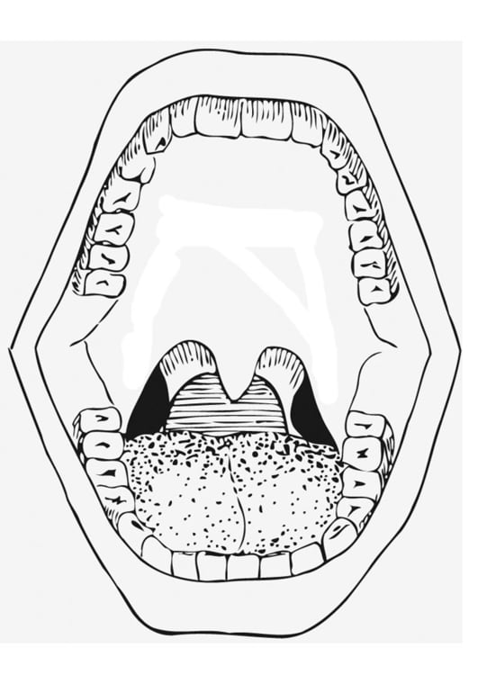 Coloriage la bouche
