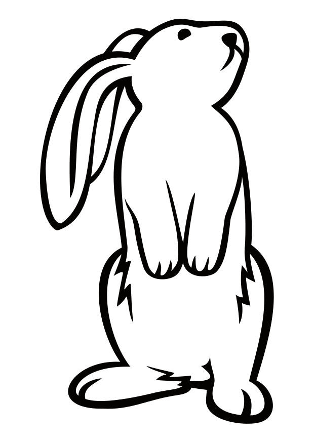 Coloriage lapin  Coloriages Gratuits à Imprimer  Dessin 29343