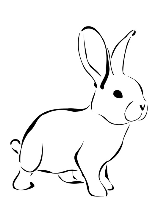 Coloriage lapin