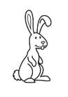 Coloriage Lapin