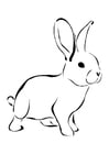 Coloriages lapin