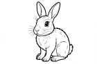 lapin