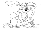 Coloriages lapin