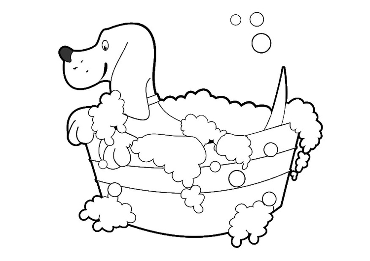 Coloriage lavage de chien