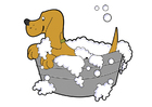 lavage de chien