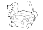 lavage de chien