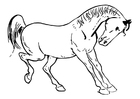 Coloriages le cheval